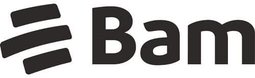 bam logo negro v2