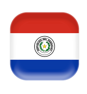 paraguay flag