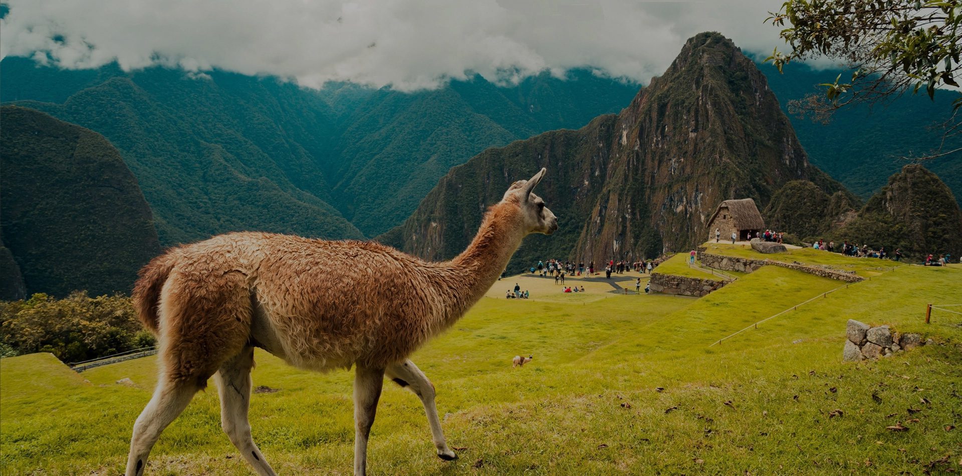 peru SM hero