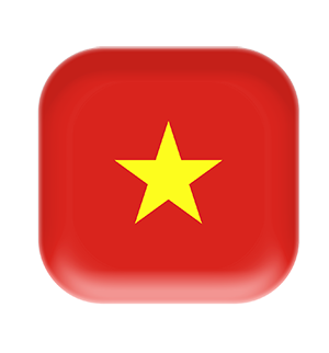 vietnam flag