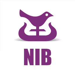 NATIONAL INVESTMENT BANK