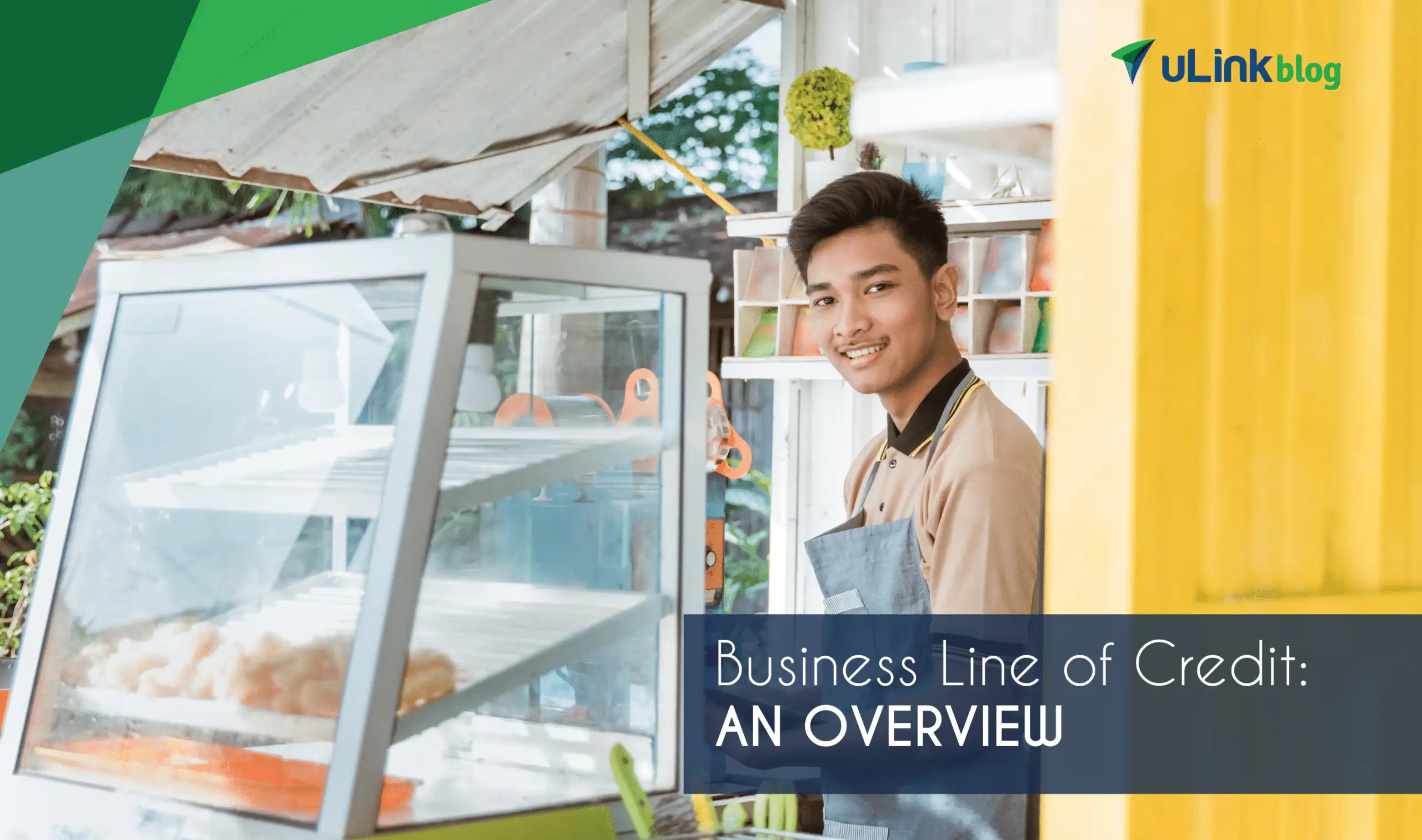 uLink2 Business Line of Credit MayJune English