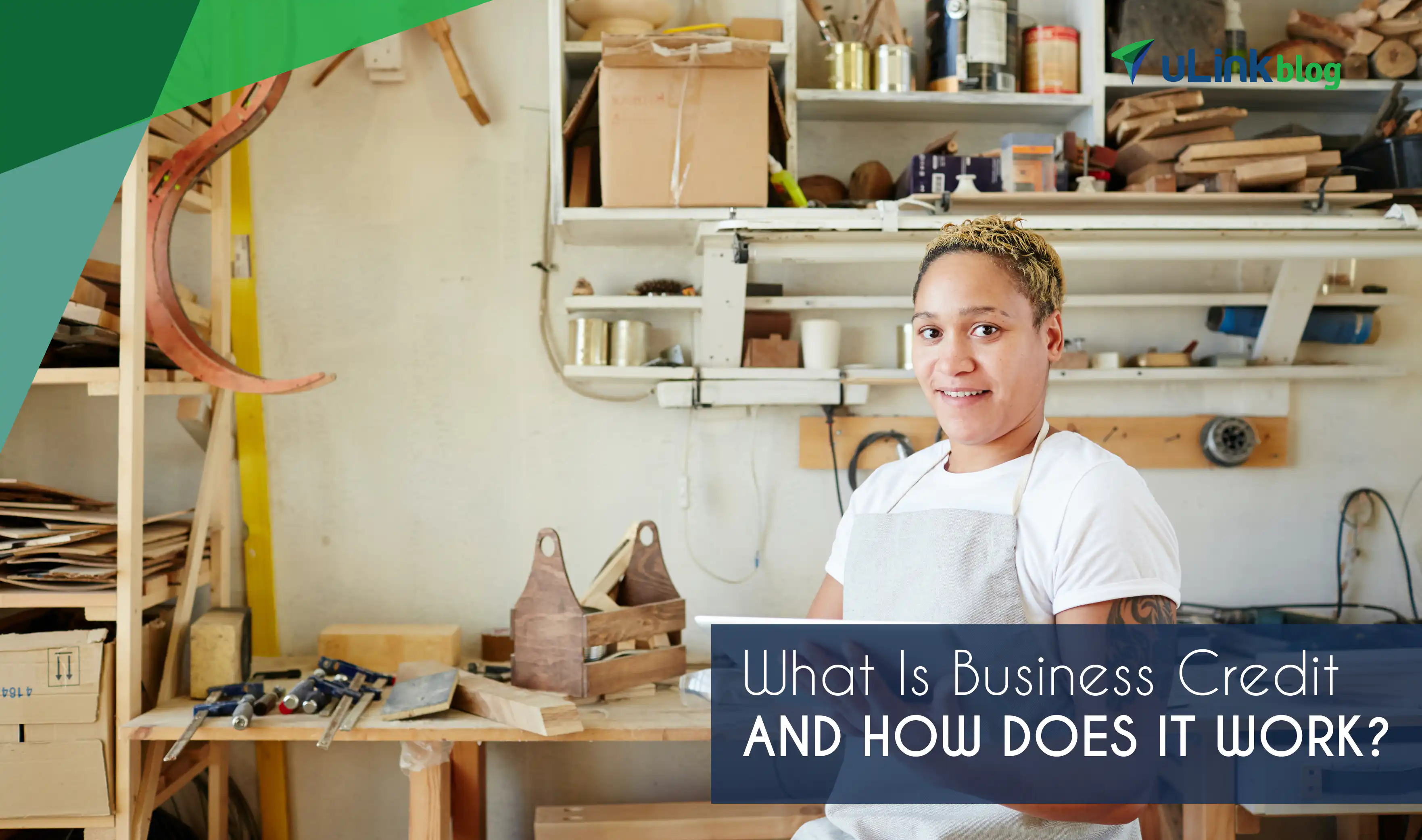 uLink1 BizCredit ENG