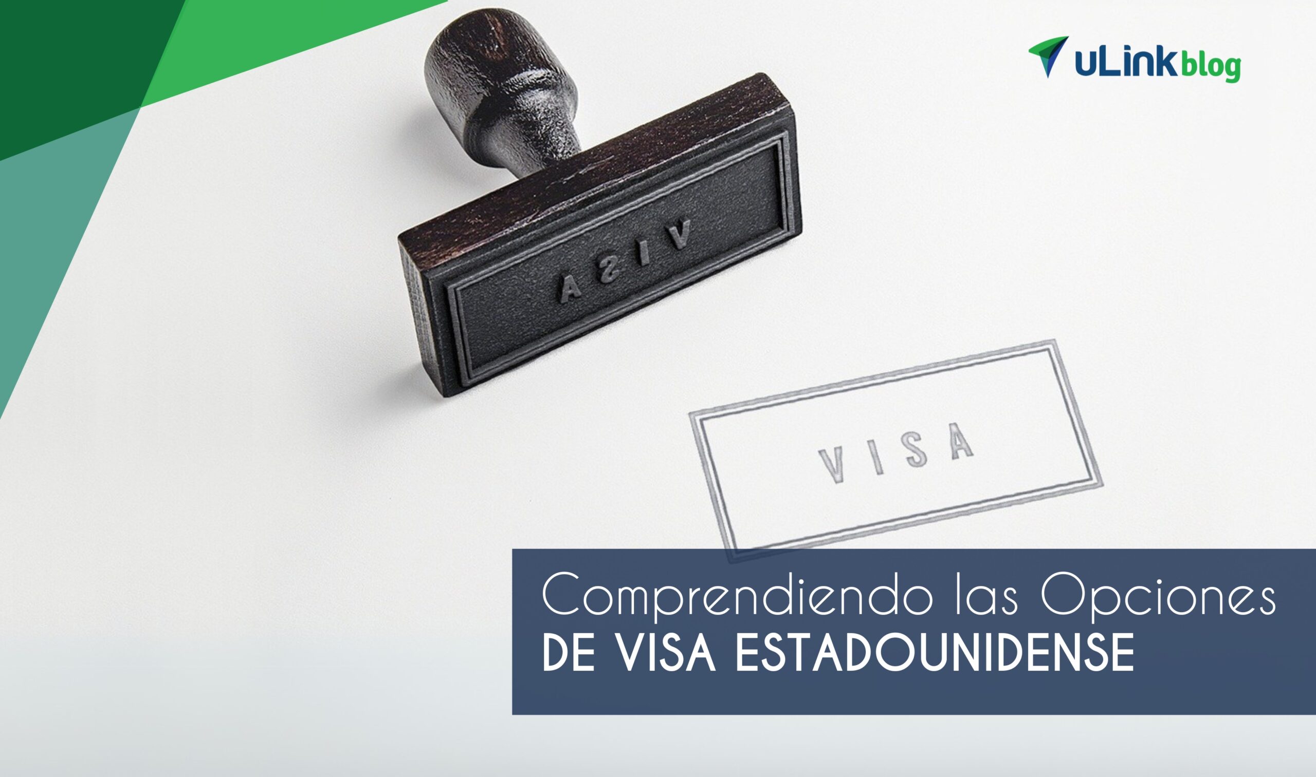 Comprendiendo las Opciones de Visa de EE. UU.