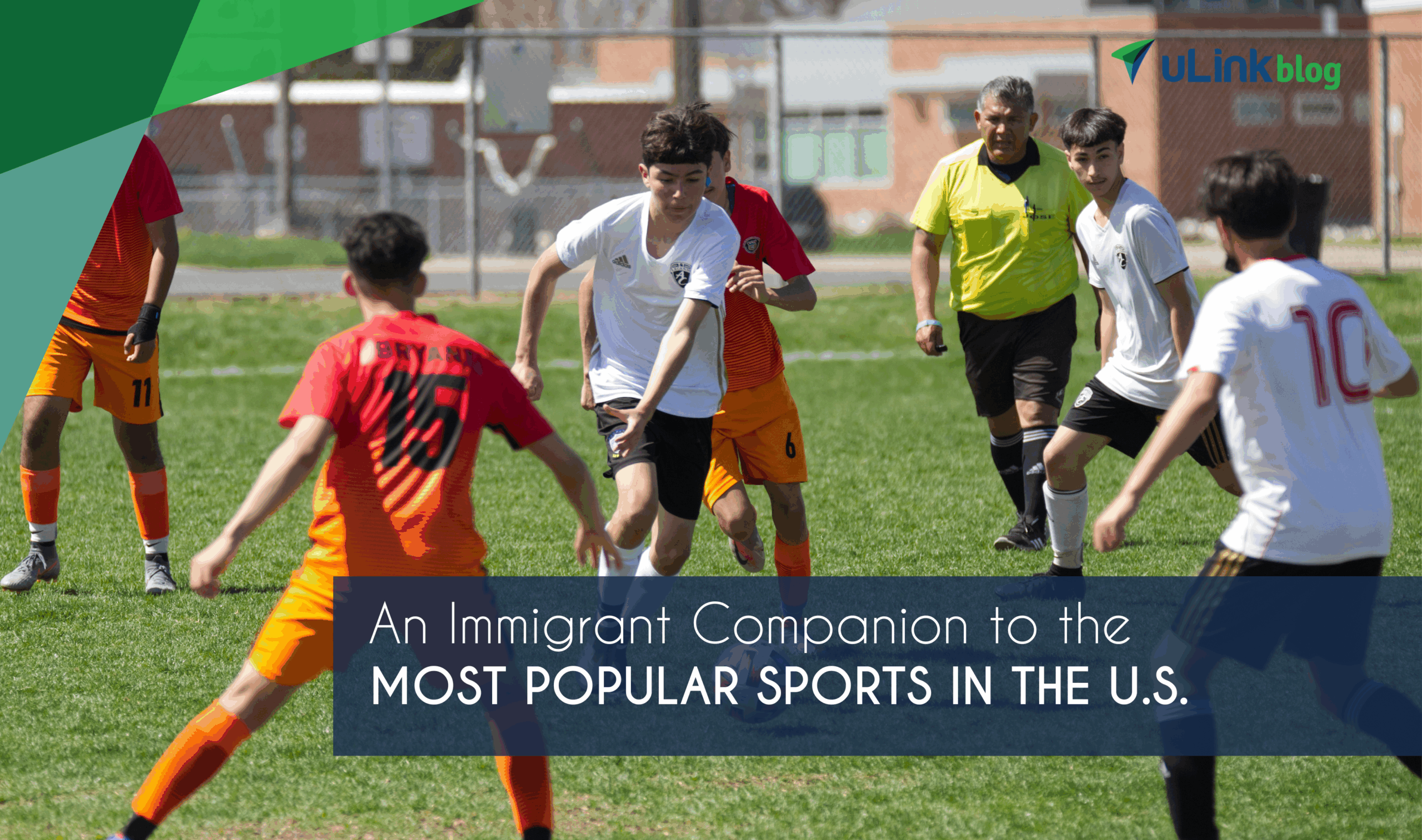 An Immigrant Companion to the Most Popular Sports in the U.S.